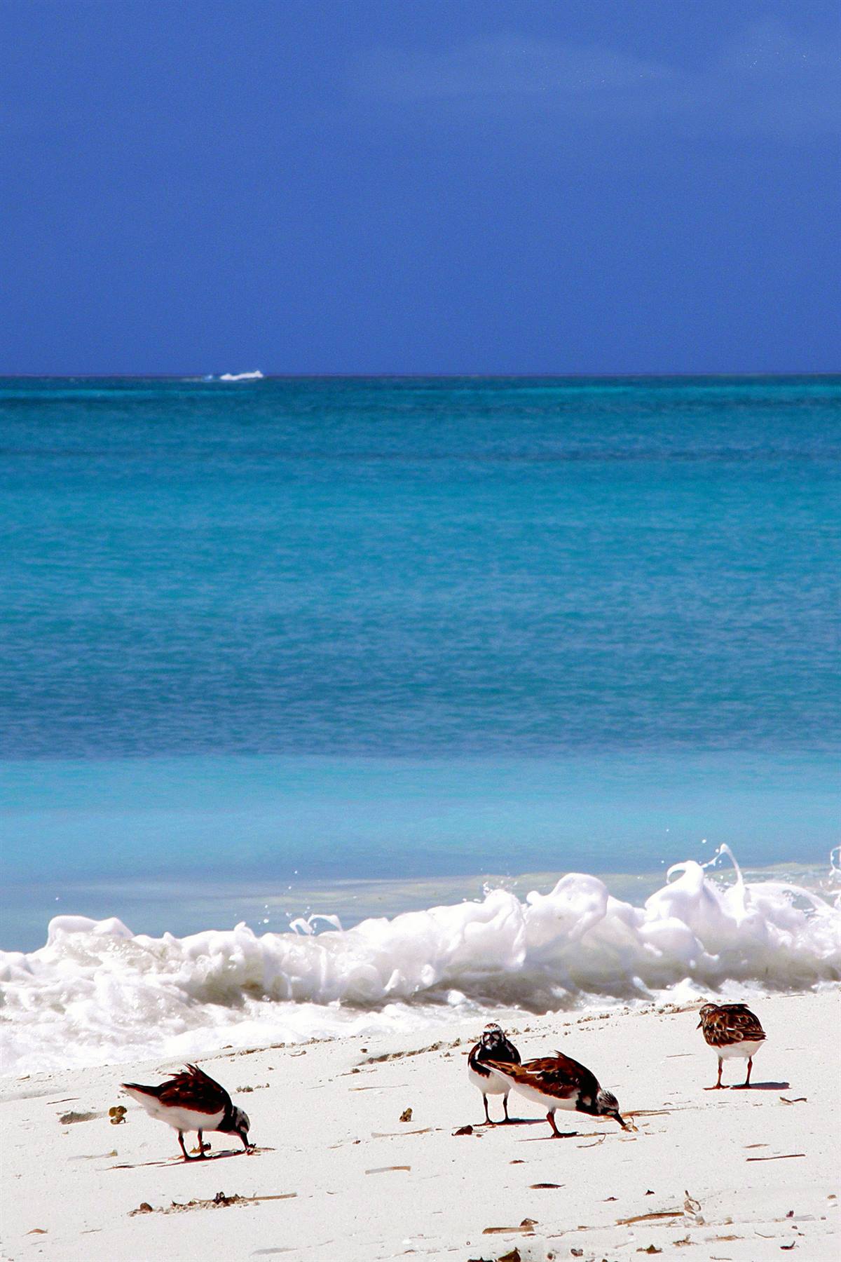 Grace Bay