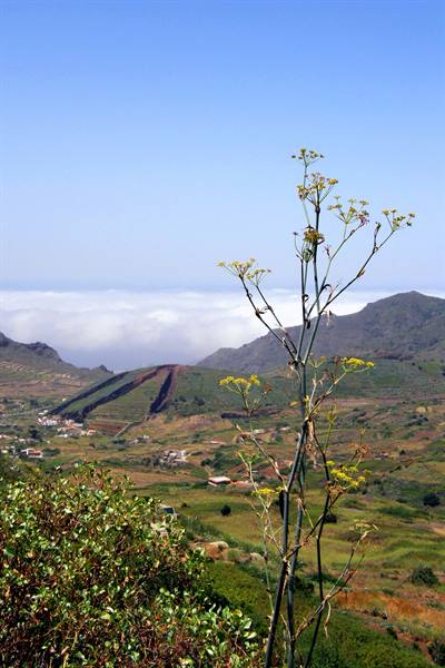 Valle de el Palmar