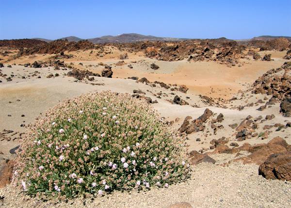 Parque Nacional del Teide - Minas de San Josè