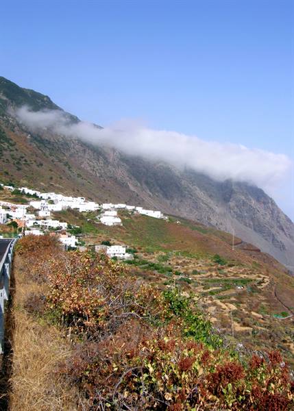 Sabinosa