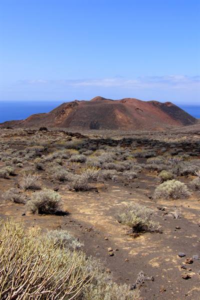 El Sabinar