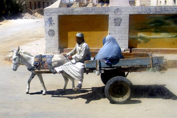 People of Siwa