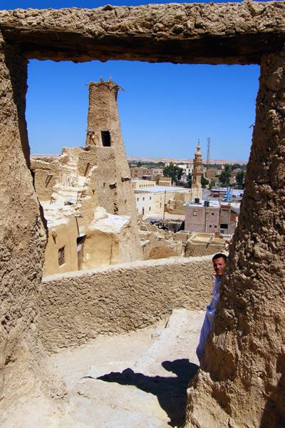 Siwa - Ruins of Shali