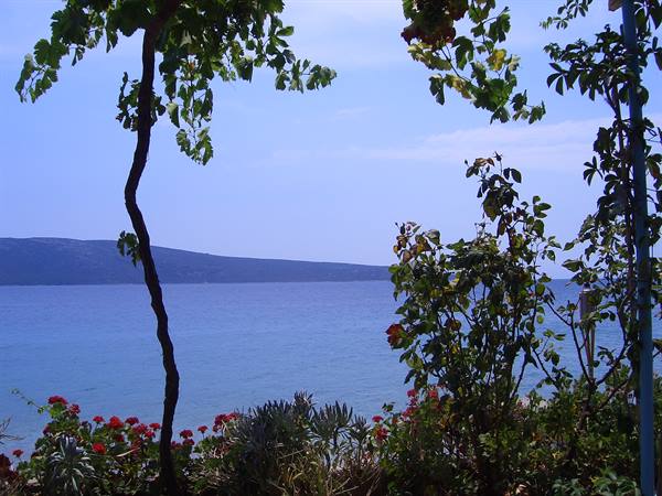 In the cool of the little taverna of Agios Dimitrios