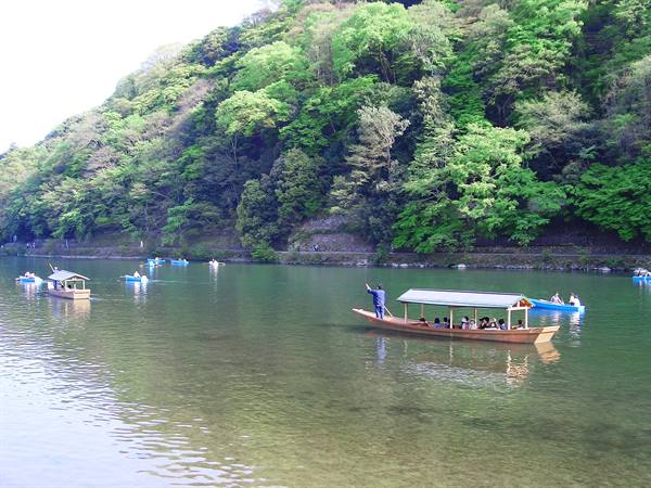 Roofed wooden boat rowed with tourists on Hozugawa river, green Arashiyama forest
