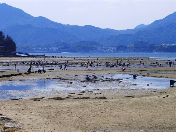 ...everyone gathering...