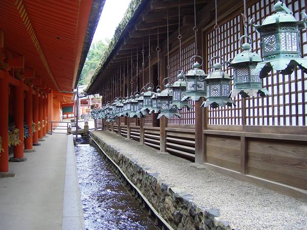 lanterns everywhere