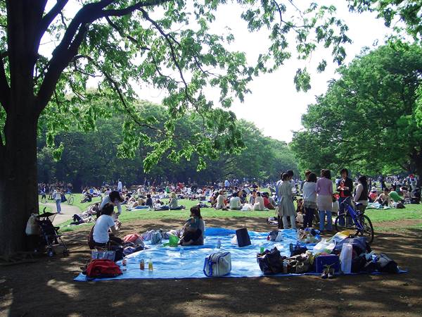 Yoyogi park - Tokyo