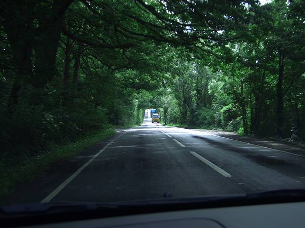 green everywhere...