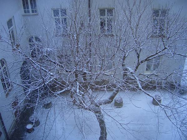 Snow-covered courtyard with bare tree and cinder flowers on the pale facade