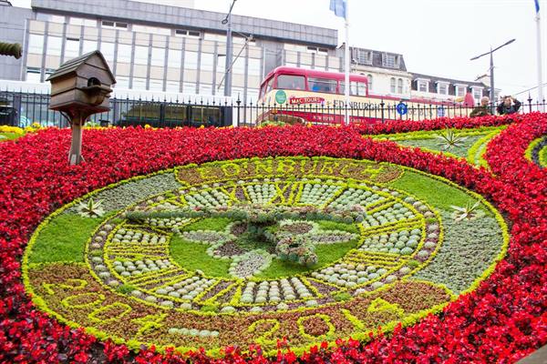 Edinburgh floral clock made of succulents, red flowers, with double-decker bus behind