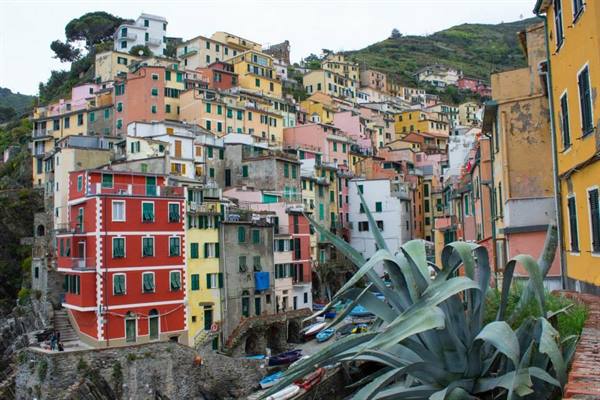 Riomaggiore: colorful hillside houses, agave plant in foreground, boats in the marina