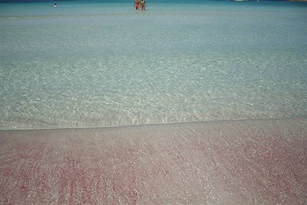 Pink sand under crystal-clear water, two people swimming in the distance