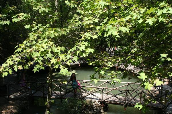 The Valley of the Butterflies (RHODES)