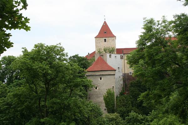 Castle towers with red roofs among green trees under cloudy sky
