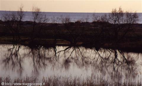 Magical reflections on the east coast
