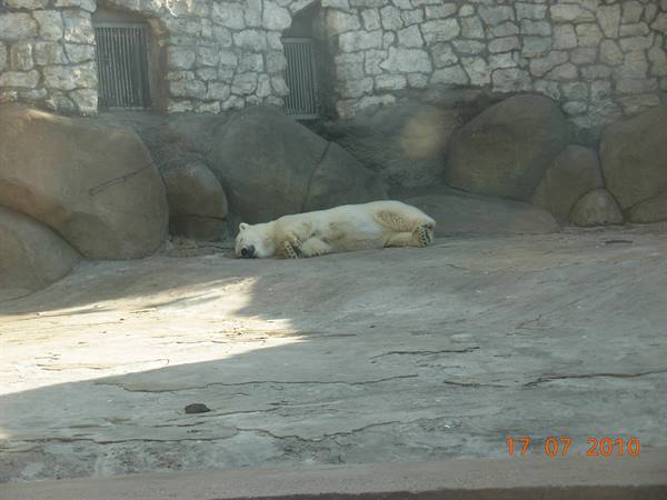 Moscow - zoo