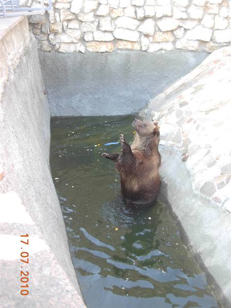 Moscow - zoo