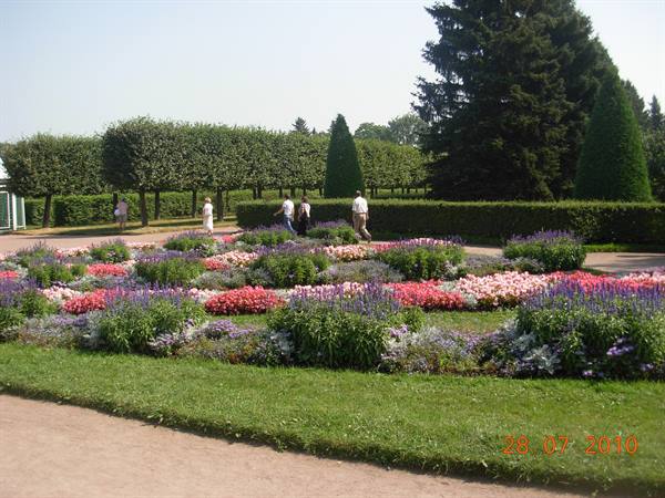 St Petersburg - Peterhof