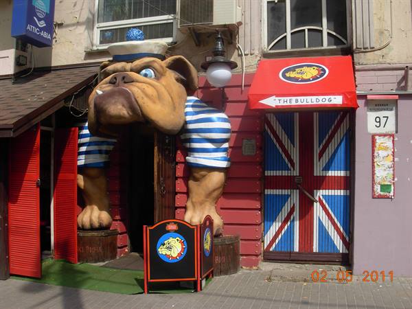 café Bulldog..only for those who have been to Amsterdam...!
