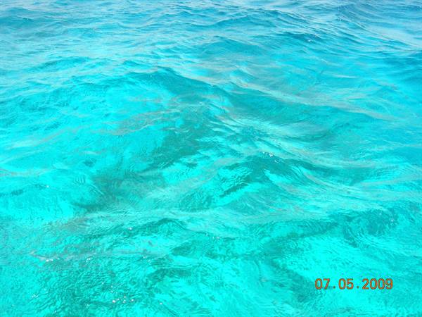 Aqaba - Red Sea