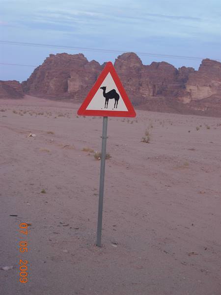 Wadi Rum - look out!