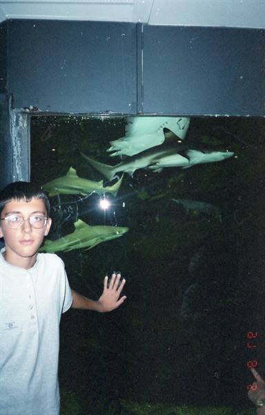 Grenaa - aquarium