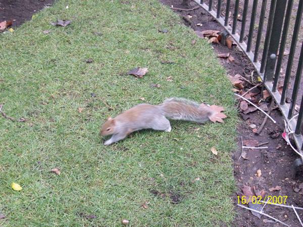 London - Regent's Park