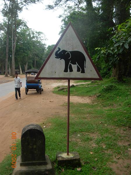 Siem Reap - watch out!