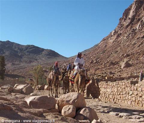 At the foot of Mount Sinai