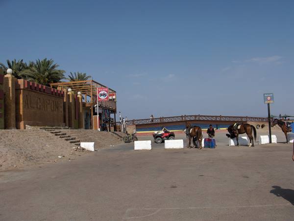 Dahab