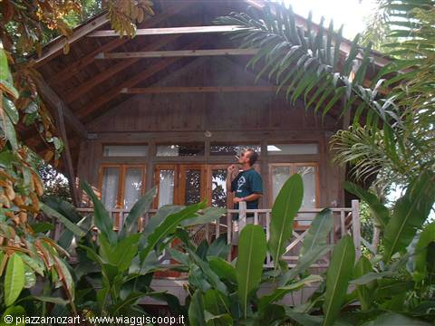 Wooden bungalow surrounded by tropical plants, man standing on the balcony