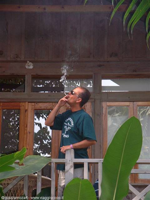 Man in green t-shirt smoking on a wooden terrace among banana leaves