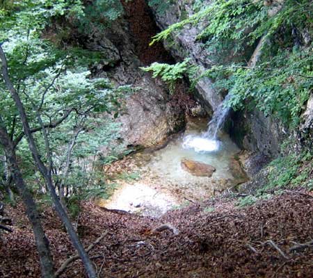 Cascata nell'Forra del Lume, piccola polla che cade in una piscina rocciosa tra il verde bosco