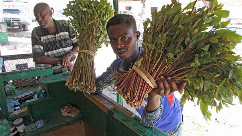 quatt seller