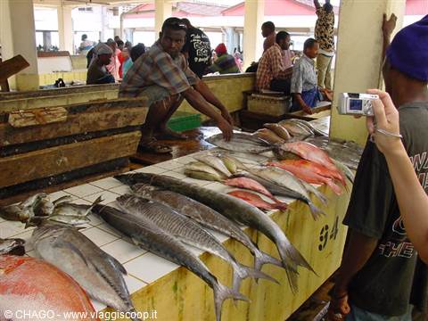 Fish market stall with fresh catch lined up, tourist photographing the vendor