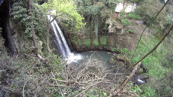 Waterfall cascading over mossy rocks into a green pool among trees