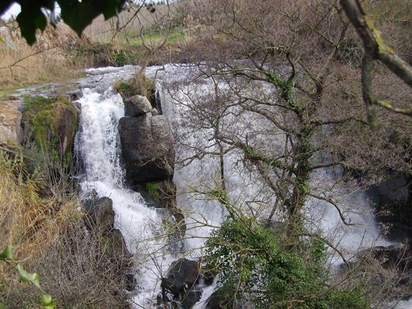 Waterfall rushing over dark rocks among bare trees, branches in foreground