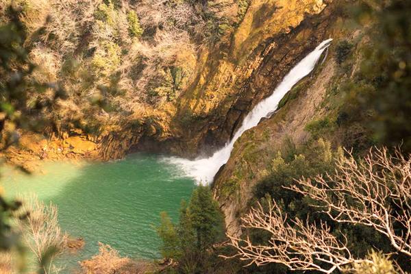 Waterfall plunging over mossy rocks into a turquoise pool, bare branches
