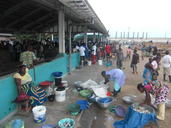 fish market
