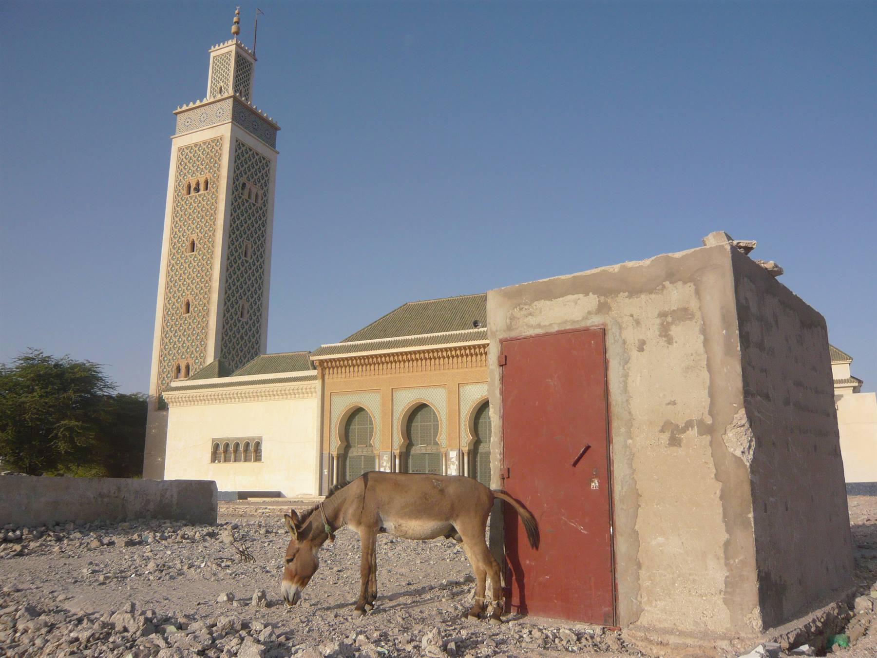 mosquea Marocchina