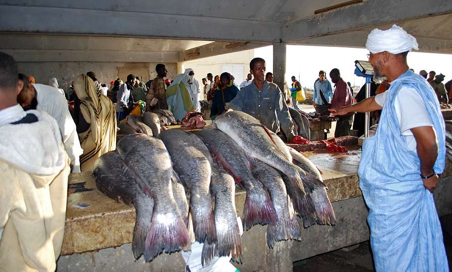 fish market