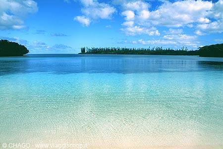 Turquoise lagoon with sandy bottom, columnar pines on the island, cloudy sky