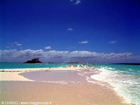 Birds flying over a white sand cay among turquoise waters at Los Roques