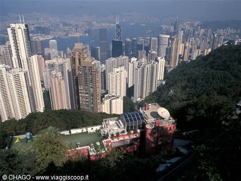 Hong Kong skyscrapers over the harbour seen from Victoria Peak among trees
