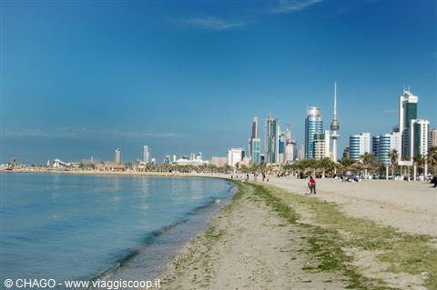 Sandy beach with seaweed in front of Kuwait City skyscrapers