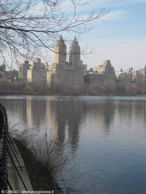 another view from Central Park