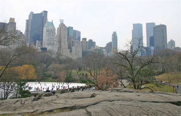 the park of the New Yorkers