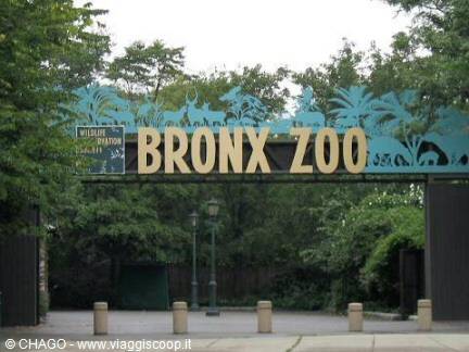 the zoo of the Bronx