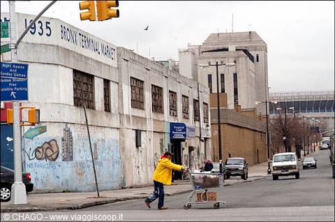 the notorious Bronx